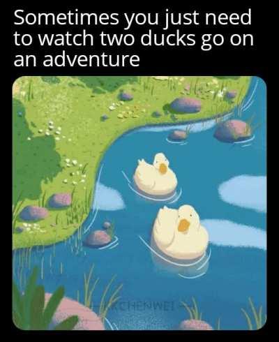 Exactly what I needed