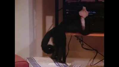 When The TVA Music Kicks In