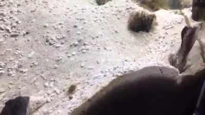 Righteous Sect and Demonic Sect Fighting