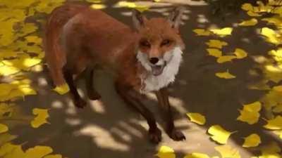 Take on Me - Fox Den Edition