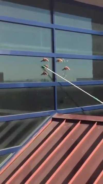 The windows look sussy.