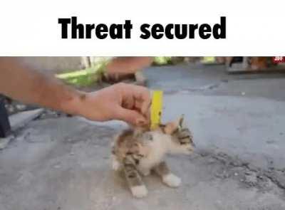 a dangerous criminal