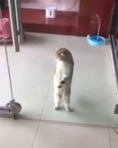 Invisible forcefield