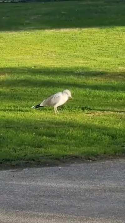 Sea Drone gen1 stuck in test mode