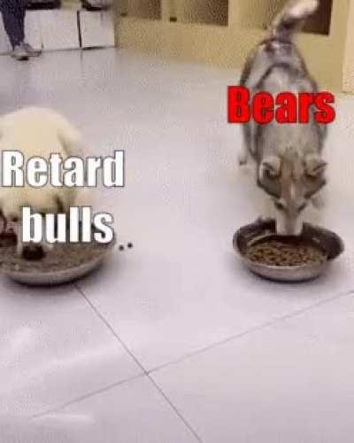 Bulls vs Bears