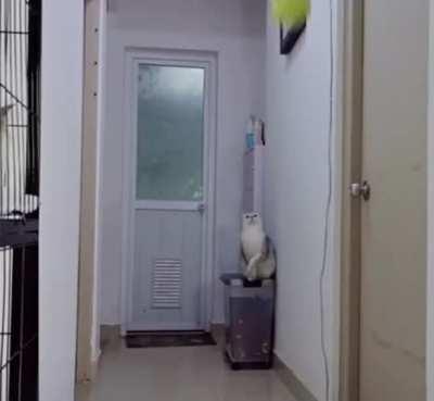 My experience versus Hard Light.