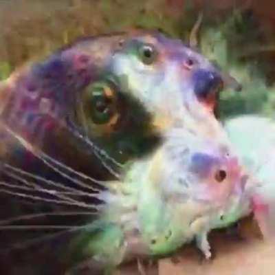 When I rub my eyes a little too hard