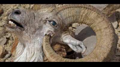 Bruh moment öyle bir andır ki