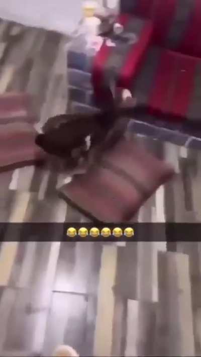 the wunks crave a fiery demise!