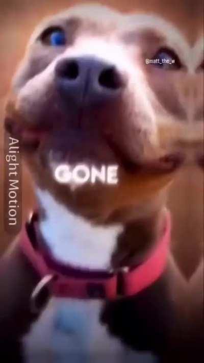 Itâs gone, itâs gone, itâs gone.