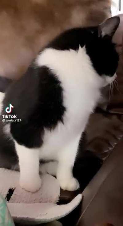 i’m sick of your sh!t b!tch