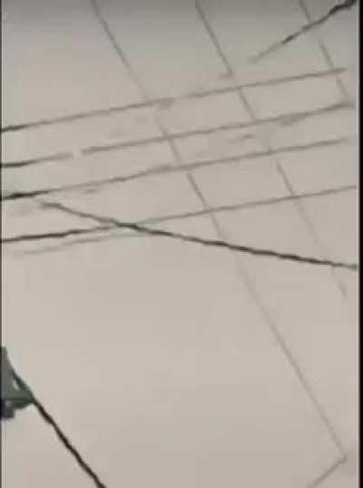 el gallo mc queen 🤑