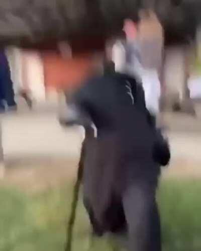 I'm going to keep posting this one video until I gain power of this entire sub(Day 2)