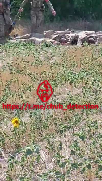 Ru Pov: A pile of dead Ukrainian soldiers somewhere in Kursk