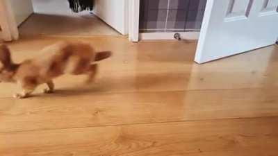 ➡️⬅️➡️⬅️