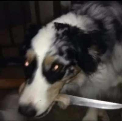 Serafin 😔🤟🏼