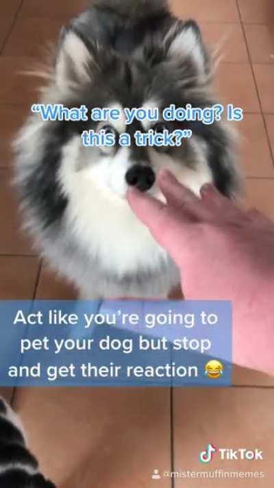 He gets feisty sometimes lol