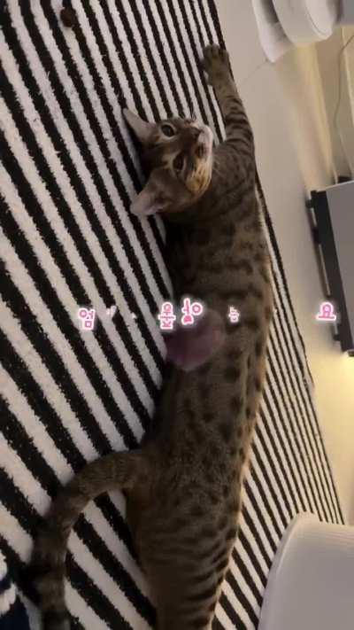 [260113] Dawon Instagram Reels Update (1)