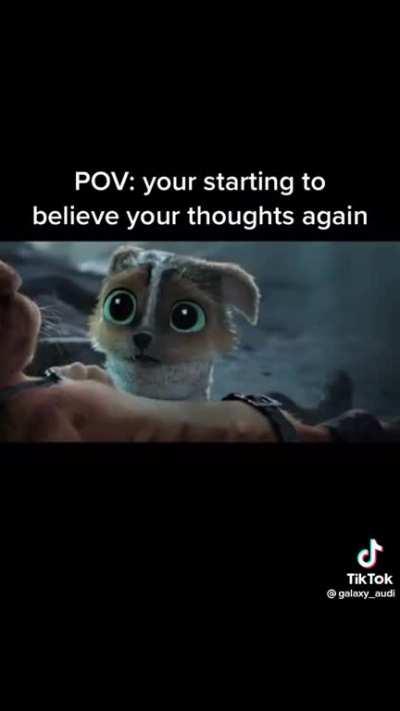 Everyone needs a Perrito in their life. 🥺