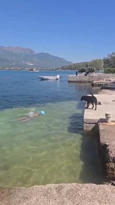 A boy and his dog having fun.