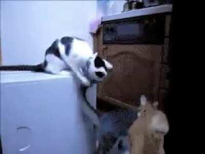 The sibling prank for all eternity.