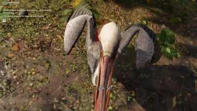 Dani talking to this pelican was one of my favorite moments in FC6