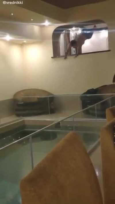 Jumping a glass fence