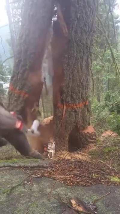 Бля бля бля бля бля