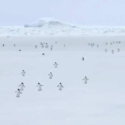 Antarctica time lapse