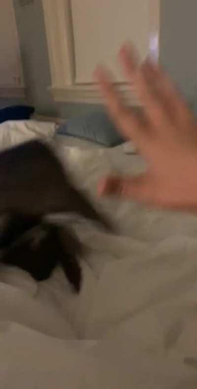 Scared for the big ol’ hand