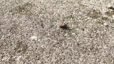 Nice dancing, fucker. (Yes, I know I have the voice of an angel)