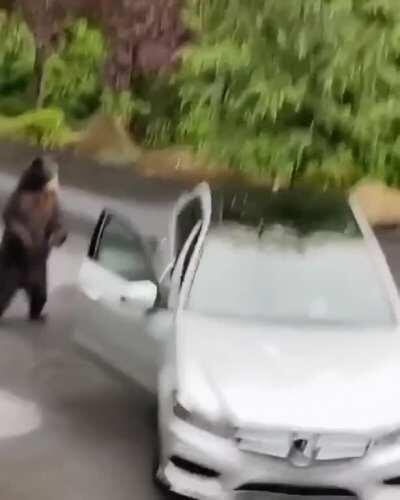 Mercedes new bear alarms