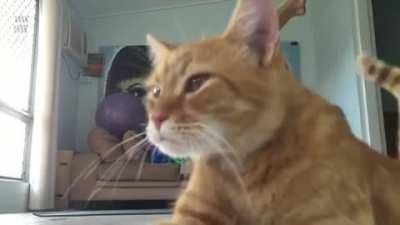 Let me sit in this spot I have never sat in before and will never sit in again