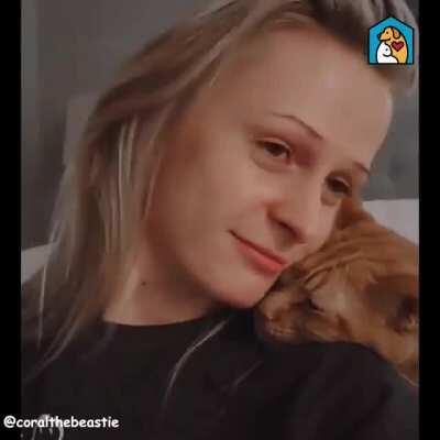 Cats have their own special way of saying 