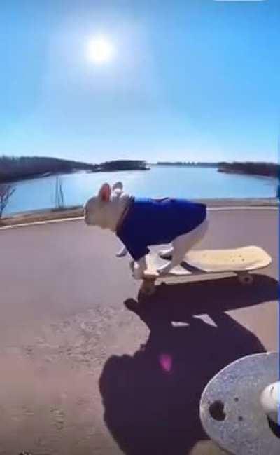 This just makes me HAPPY! My face hurts from SMILING ☺️