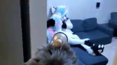 EXTERMINATE THE HORNY