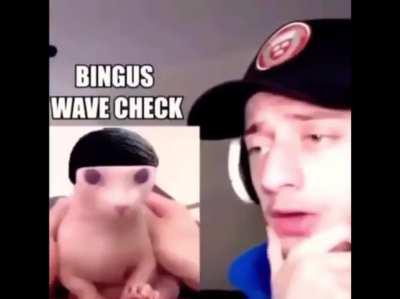 is this fake or real?