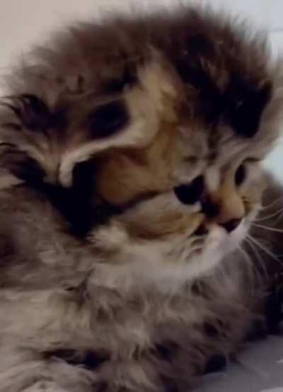 when I drank a lot of milk