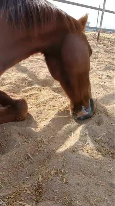 How my friend looked doing his 3rd line after I already took 5