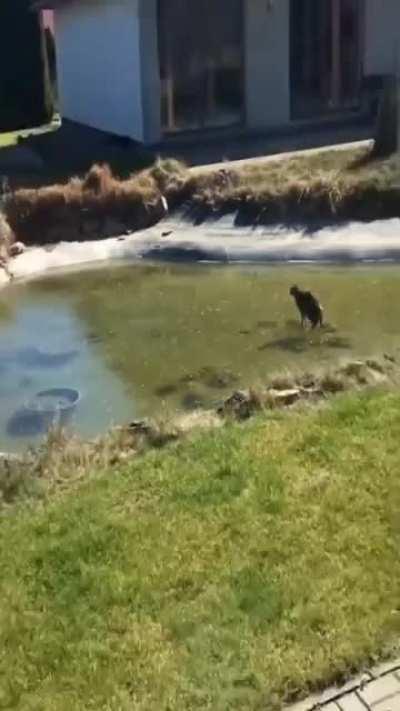 To catch a fish under the ice.
