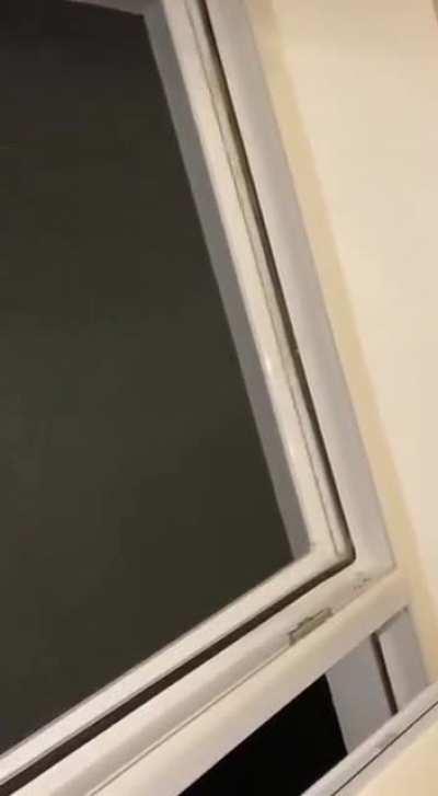 Failed window filter