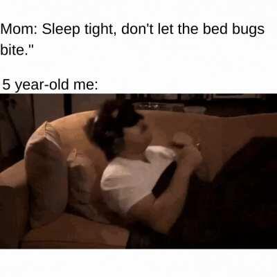 Fear the bed bugs