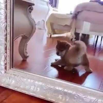 checking out in mirror