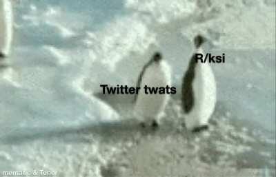 Reddit > Twitter