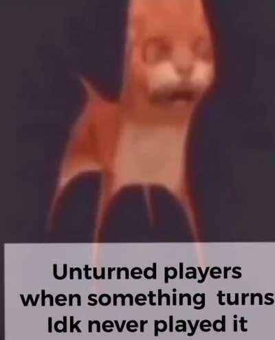 Unturned players be like