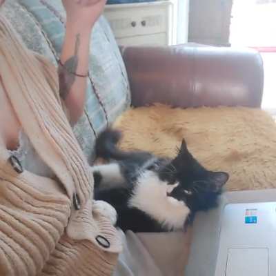 Molly kneads mummy pt.2