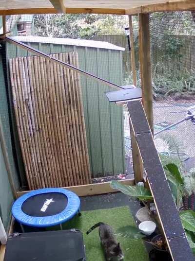 Finn's Leap Of Faith