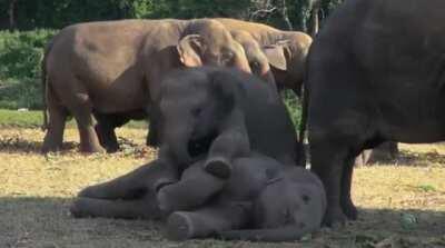 I guess this is my life now