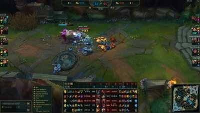 a fed Xin vs some cats