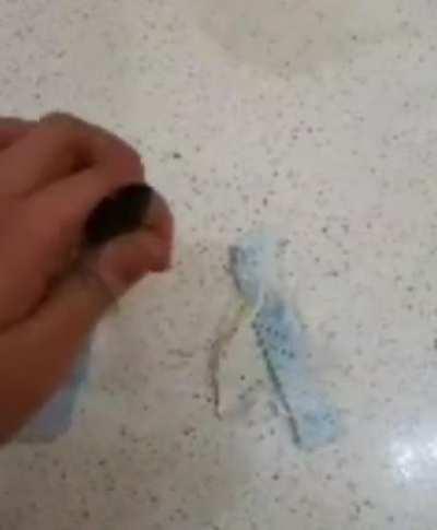 There is... A house...